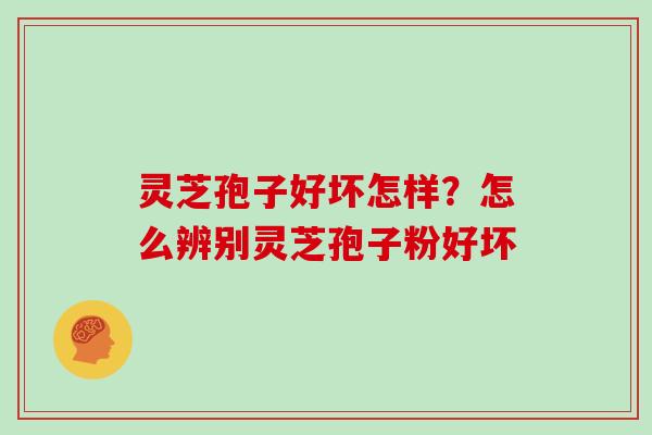 灵芝孢子好坏怎样？怎么辨别灵芝孢子粉好坏