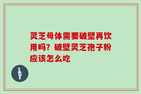 灵芝母体需要破壁再饮用吗？破壁灵芝孢子粉应该怎么吃