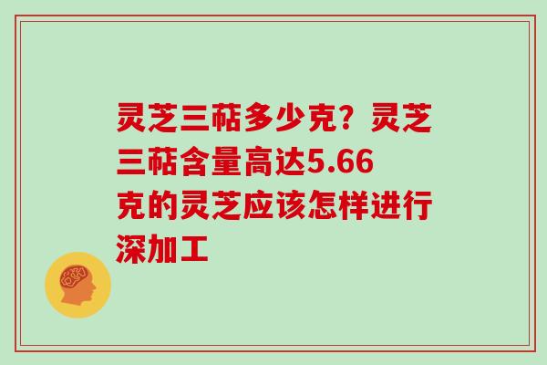 灵芝三萜多少克？灵芝三萜含量高达5.66克的灵芝应该怎样进行深加工