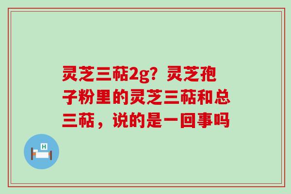 灵芝三萜2g？灵芝孢子粉里的灵芝三萜和总三萜，说的是一回事吗