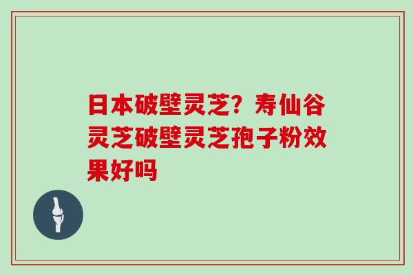 日本破壁灵芝？寿仙谷灵芝破壁灵芝孢子粉效果好吗