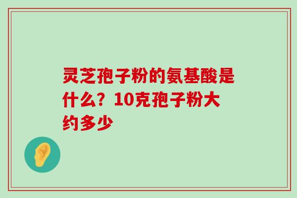 灵芝孢子粉的氨基酸是什么？10克孢子粉大约多少