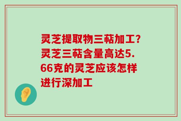 灵芝提取物三萜加工？灵芝三萜含量高达5.66克的灵芝应该怎样进行深加工