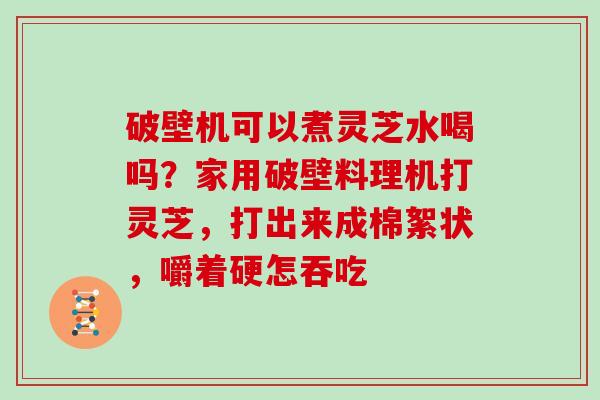 破壁机可以煮灵芝水喝吗？家用破壁料理机打灵芝，打出来成棉絮状，嚼着硬怎吞吃