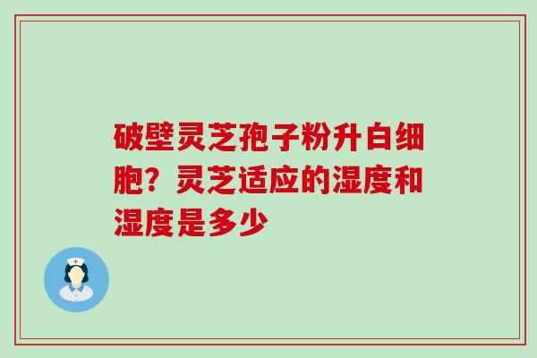 破壁灵芝孢子粉升？灵芝适应的湿度和湿度是多少