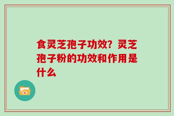 食灵芝孢子功效？灵芝孢子粉的功效和作用是什么