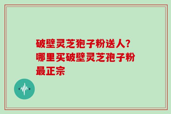 破壁灵芝狍子粉送人？哪里买破壁灵芝孢子粉正宗