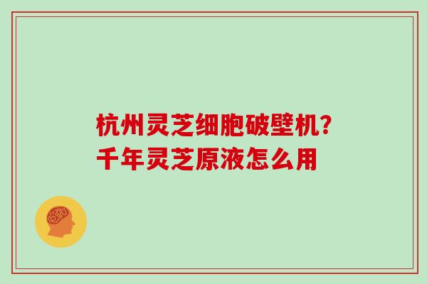 杭州灵芝细胞破壁机？千年灵芝原液怎么用