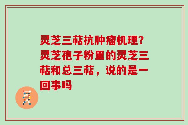 灵芝三萜抗机理？灵芝孢子粉里的灵芝三萜和总三萜，说的是一回事吗