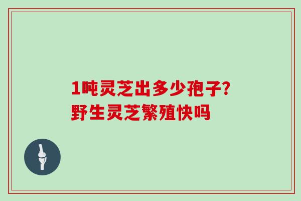 1吨灵芝出多少孢子？野生灵芝繁殖快吗