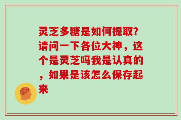 灵芝多糖是如何提取？请问一下各位大神，这个是灵芝吗我是认真的，如果是该怎么保存起来