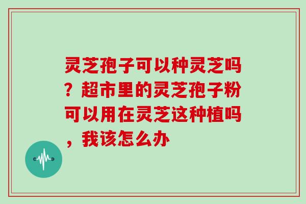 灵芝孢子可以种灵芝吗？超市里的灵芝孢子粉可以用在灵芝这种植吗，我该怎么办