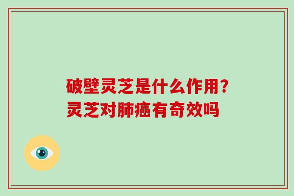 破壁灵芝是什么作用？灵芝对有奇效吗