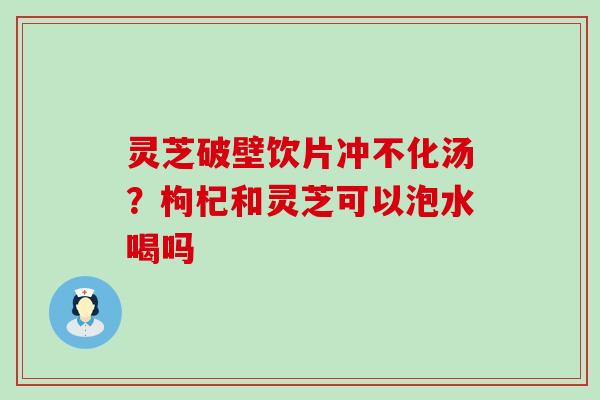 灵芝破壁饮片冲不化汤？枸杞和灵芝可以泡水喝吗