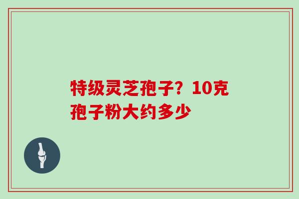 特级灵芝孢子？10克孢子粉大约多少