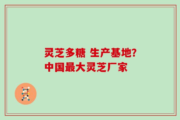 灵芝多糖 生产基地？中国大灵芝厂家