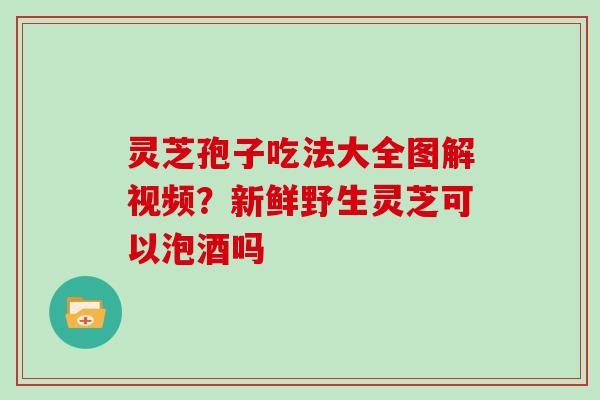 灵芝孢子吃法大全图解视频？新鲜野生灵芝可以泡酒吗