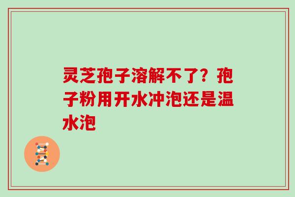 灵芝孢子溶解不了？孢子粉用开水冲泡还是温水泡