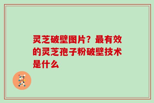 灵芝破壁图片？有效的灵芝孢子粉破壁技术是什么