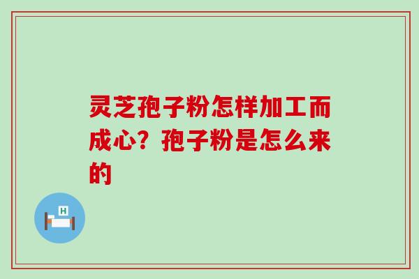 灵芝孢子粉怎样加工而成心？孢子粉是怎么来的