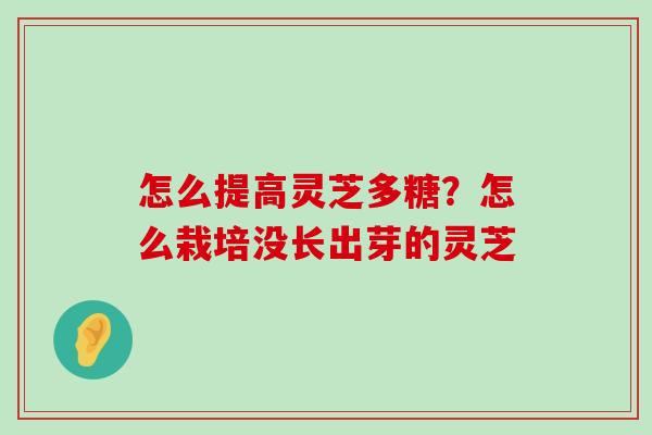 怎么提高灵芝多糖？怎么栽培没长出芽的灵芝