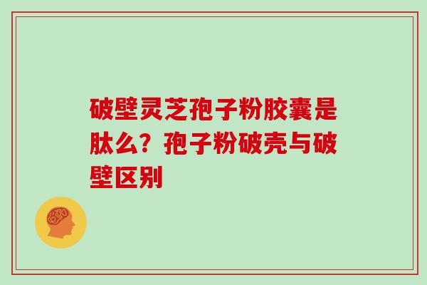 破壁灵芝孢子粉胶囊是肽么？孢子粉破壳与破壁区别