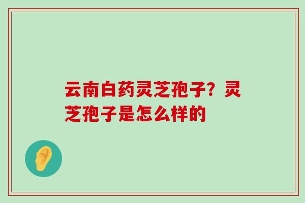 云南白药灵芝孢子？灵芝孢子是怎么样的