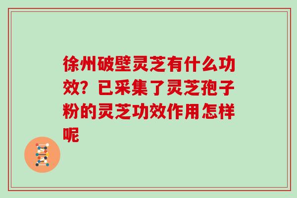 徐州破壁灵芝有什么功效？已采集了灵芝孢子粉的灵芝功效作用怎样呢