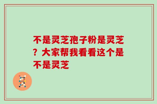 不是灵芝孢子粉是灵芝？大家帮我看看这个是不是灵芝