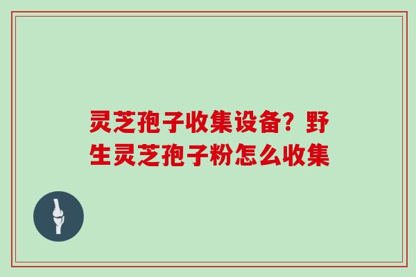 灵芝孢子收集设备？野生灵芝孢子粉怎么收集