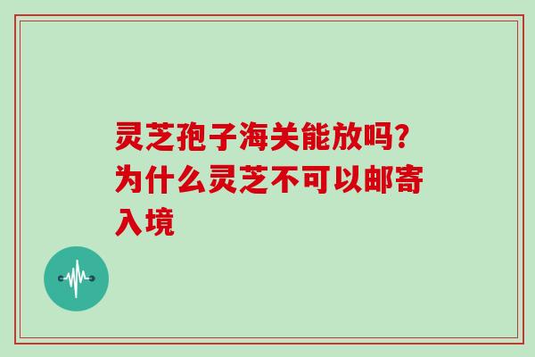 灵芝孢子海关能放吗？为什么灵芝不可以邮寄入境