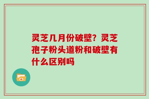 灵芝几月份破壁？灵芝孢子粉头道粉和破壁有什么区别吗