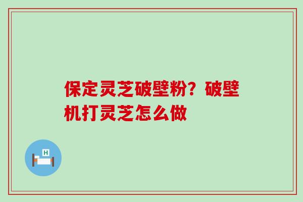 保定灵芝破壁粉？破壁机打灵芝怎么做