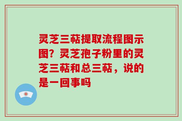 灵芝三萜提取流程图示图？灵芝孢子粉里的灵芝三萜和总三萜，说的是一回事吗