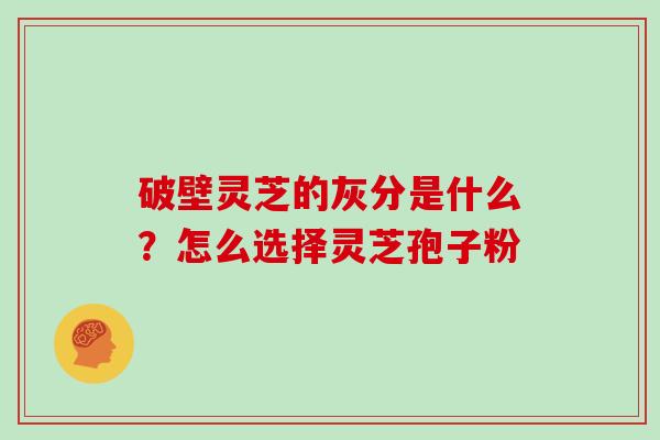 破壁灵芝的灰分是什么？怎么选择灵芝孢子粉