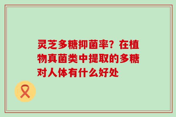 灵芝多糖抑菌率？在植物真菌类中提取的多糖对人体有什么好处