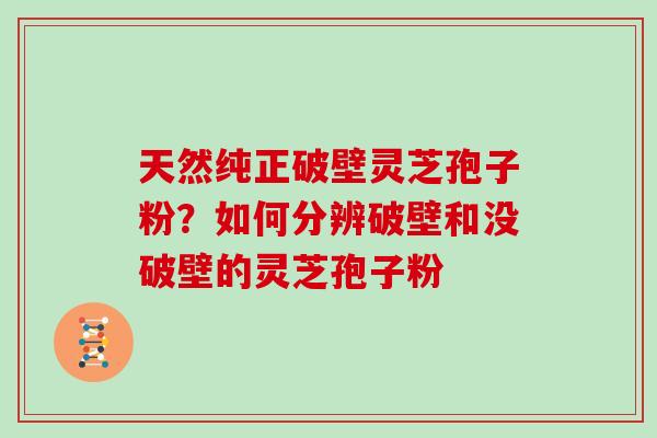 天然纯正破壁灵芝孢子粉？如何分辨破壁和没破壁的灵芝孢子粉