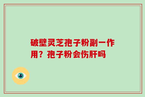 破壁灵芝孢子粉副一作用？孢子粉会伤吗