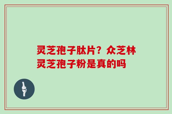 灵芝孢子肽片？众芝林灵芝孢子粉是真的吗