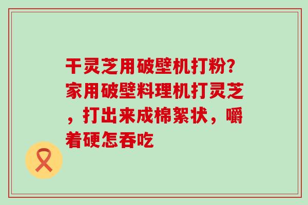 干灵芝用破壁机打粉？家用破壁料理机打灵芝，打出来成棉絮状，嚼着硬怎吞吃