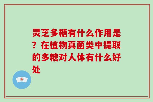 灵芝多糖有什么作用是？在植物真菌类中提取的多糖对人体有什么好处