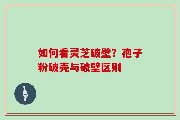 如何看灵芝破壁？孢子粉破壳与破壁区别