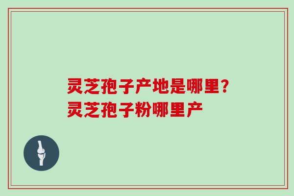 灵芝孢子产地是哪里？灵芝孢子粉哪里产