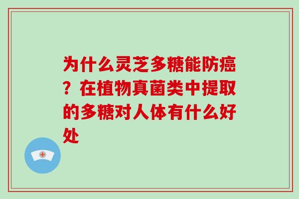 为什么灵芝多糖能防？在植物真菌类中提取的多糖对人体有什么好处