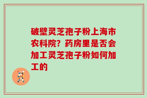 破壁灵芝孢子粉上海市农科院？药房里是否会加工灵芝孢子粉如何加工的