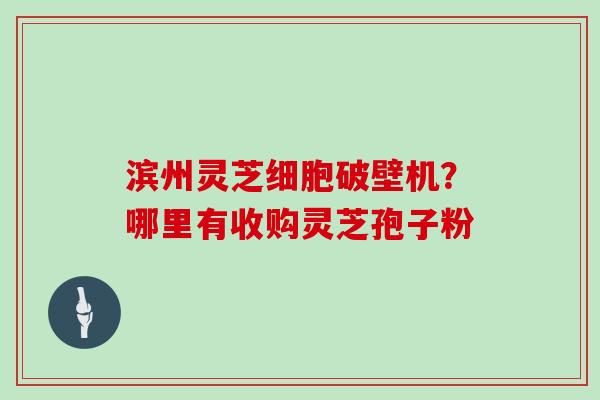 滨州灵芝细胞破壁机？哪里有收购灵芝孢子粉