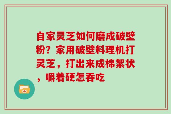 自家灵芝如何磨成破壁粉？家用破壁料理机打灵芝，打出来成棉絮状，嚼着硬怎吞吃