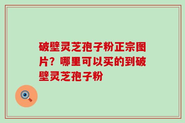 破壁灵芝孢子粉正宗图片？哪里可以买的到破壁灵芝孢子粉