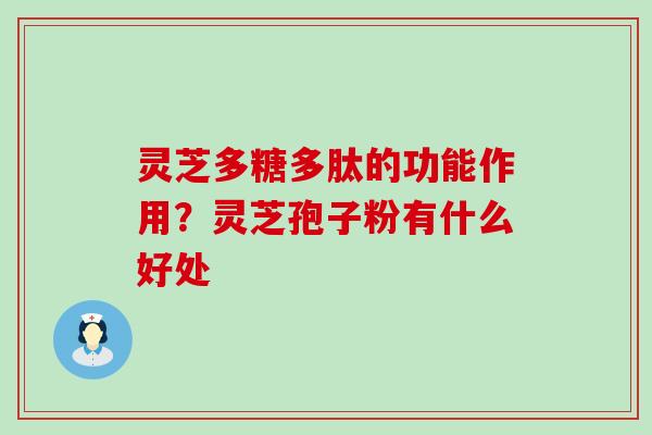 灵芝多糖多肽的功能作用？灵芝孢子粉有什么好处