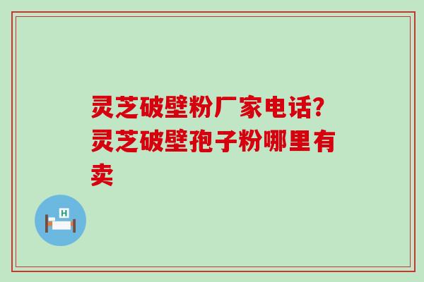 灵芝破壁粉厂家电话？灵芝破壁孢子粉哪里有卖